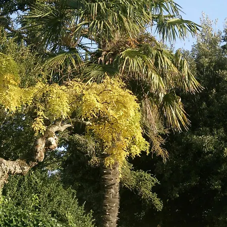 Caselunghe Alloggio per agriturismo *
